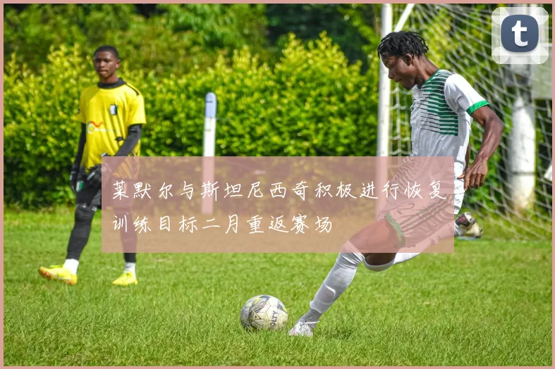 莱默尔与斯坦尼西奇积极进行恢复训练目标二月重返赛场