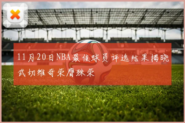 11月20日NBA最佳球员评选结果揭晓武切维奇荣膺殊荣