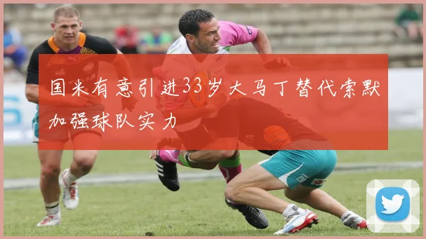 国米有意引进33岁大马丁替代索默加强球队实力