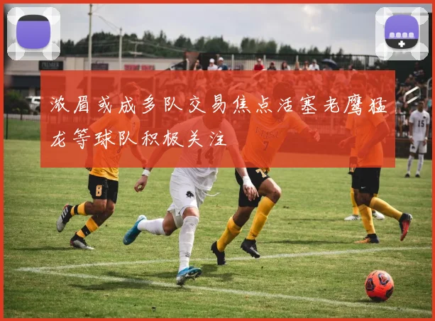 浓眉或成多队交易焦点活塞老鹰猛龙等球队积极关注