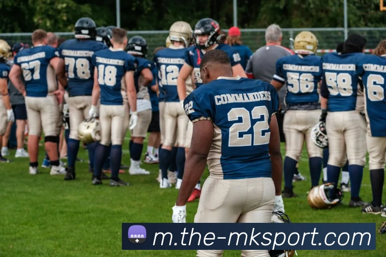 MK体育APP 高清赛事图